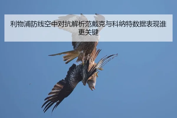 利物浦防线空中对抗解析范戴克与科纳特数据表现谁更关键